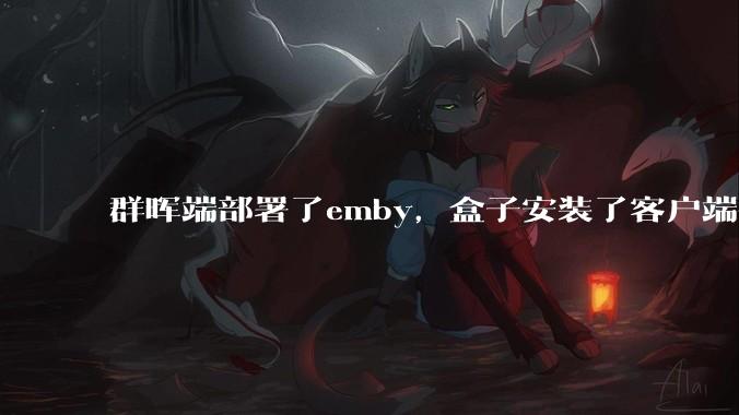 群晖端部署了emby，盒子安装了客户端播放蓝光电影为什么不能显示影片自带字幕？