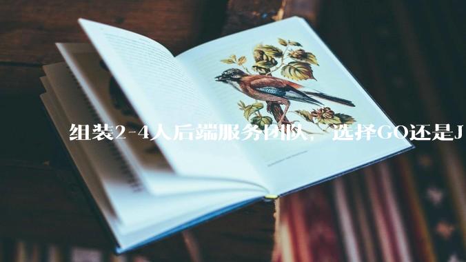 组装2-4人后端服务团队，选择GO还是J***a？
