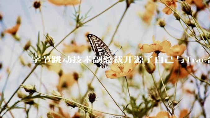 字节跳动技术副总裁开源了自己与Trae合作的首个项目，如何评价目前AI开发的水平？
