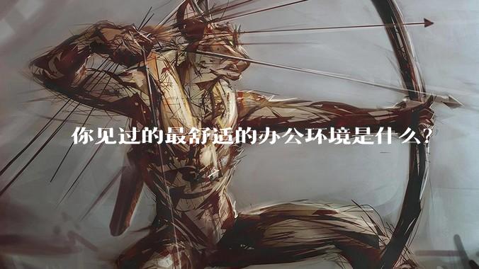 你见过的最舒适的办公环境是什么？