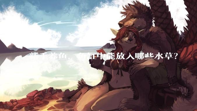 新手养鱼，鱼缸中能放入哪些水草？