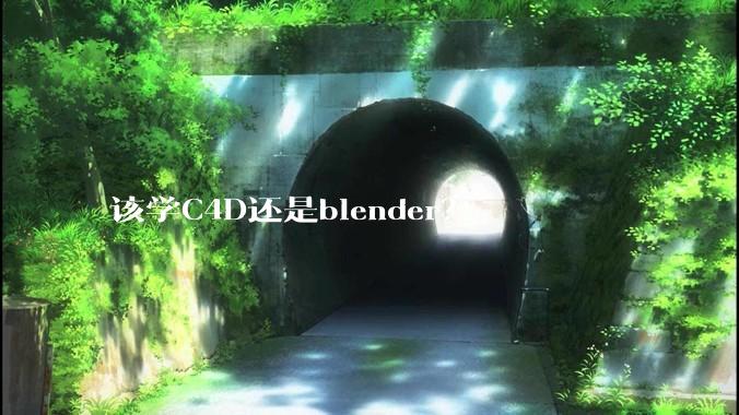 该学C4D还是blender？