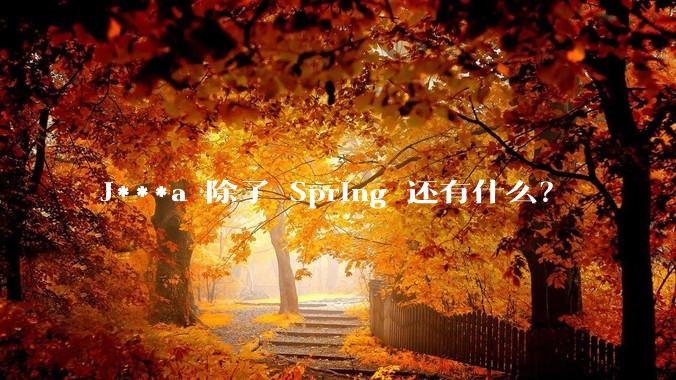 J***a 除了 Spring 还有什么？