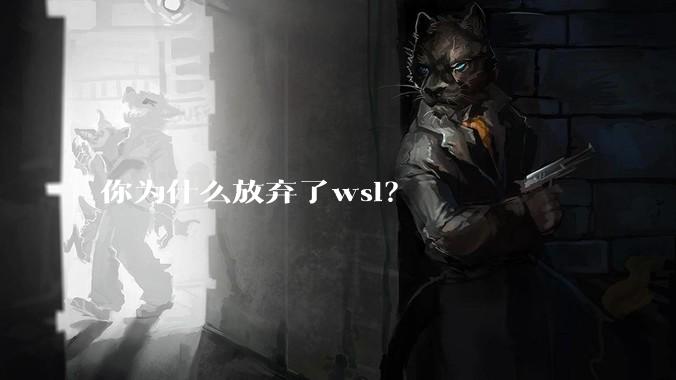 你为什么放弃了wsl？