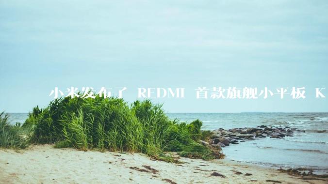 小米发布了 REDMI 首款旗舰小平板 K Pad，仅 8.8 英寸，小巧便携，如何评价这一设计？